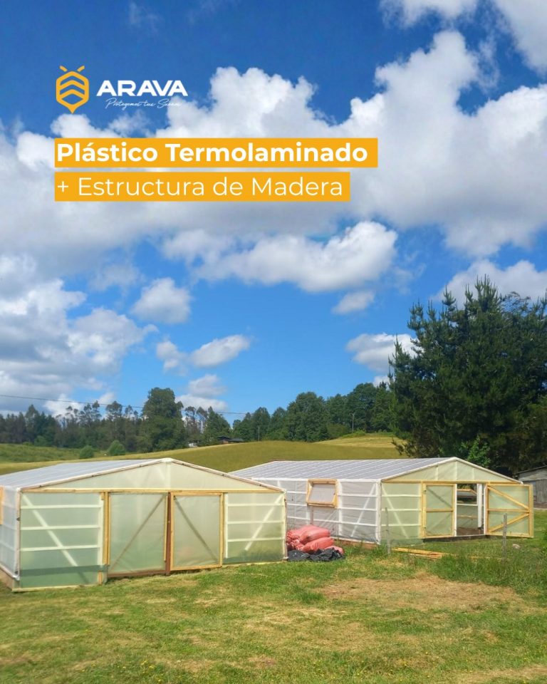 Instagram post from aravachile. This post is in position 8.