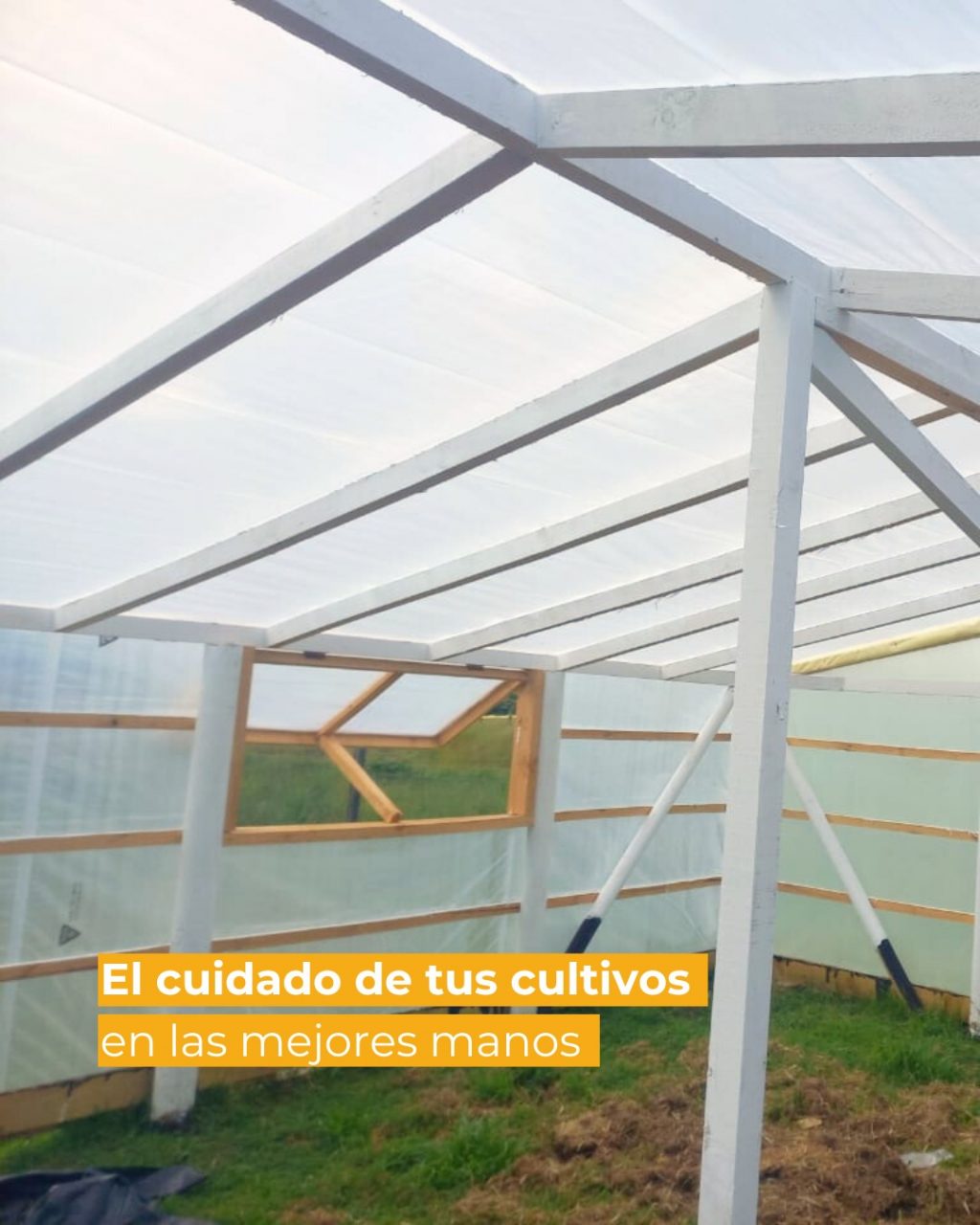 Instagram post from aravachile. This post is in position 2.