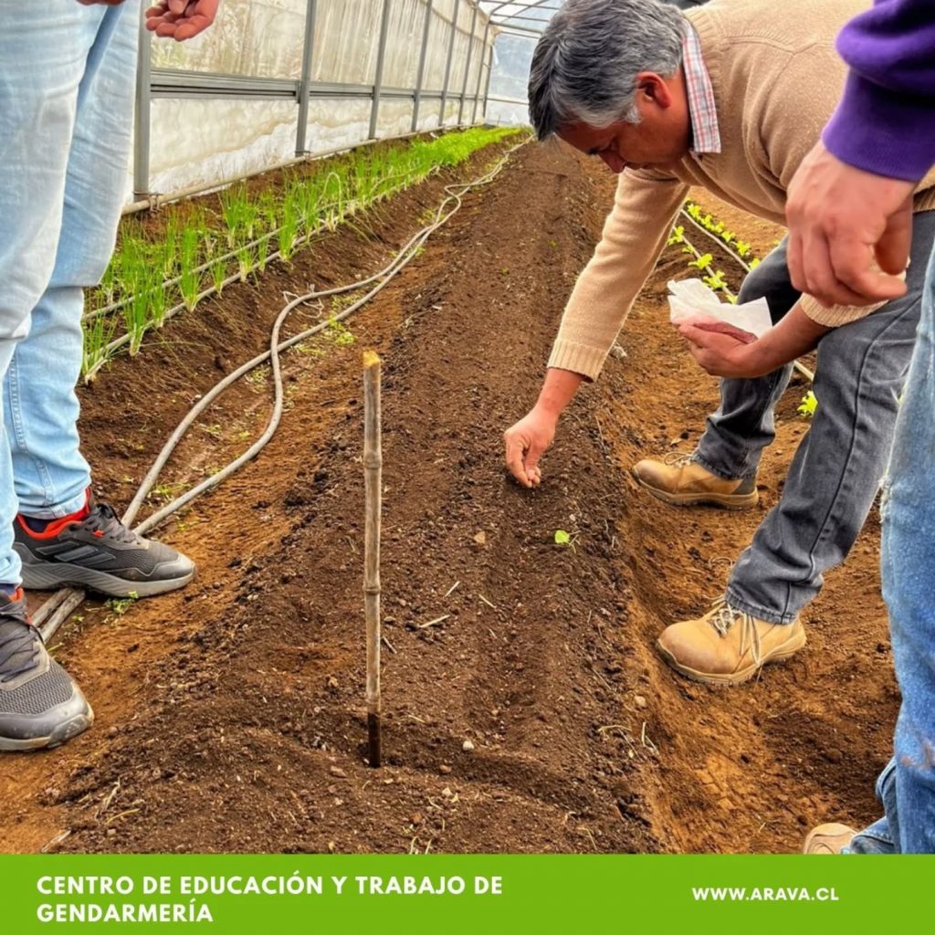 Instagram post from aravachile. This post is in position 5.