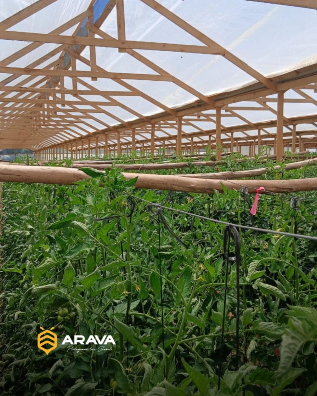 Instagram post from aravachile. This post is in position 0.