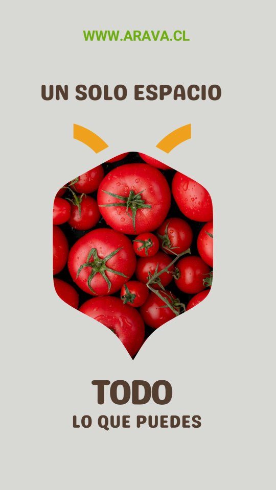 Instagram post from aravachile. This post is in position 1.