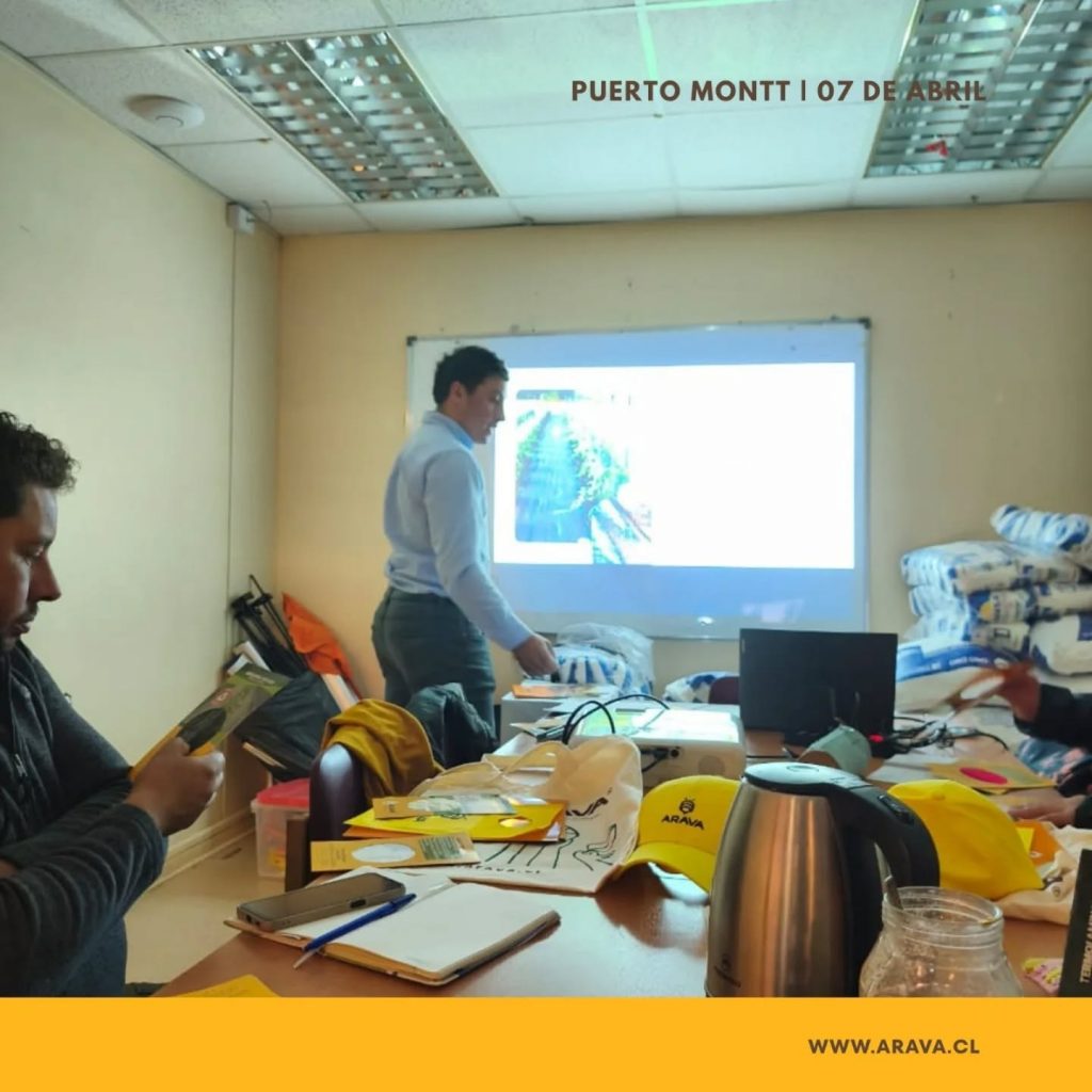 Instagram post from aravachile. This post is in position 3.