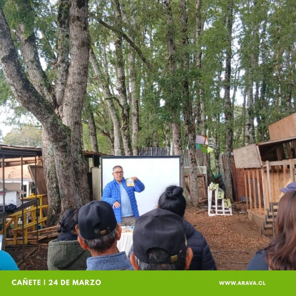 Instagram post from aravachile. This post is in position 5.