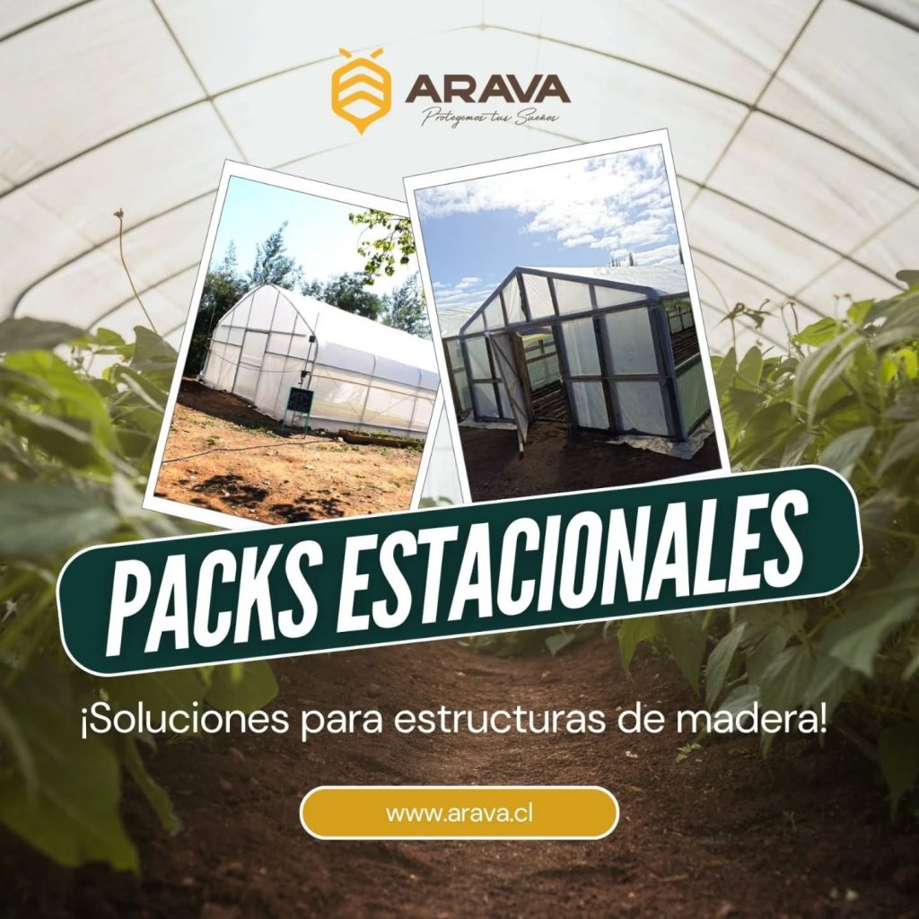 Instagram post from aravachile. This post is in position 0.