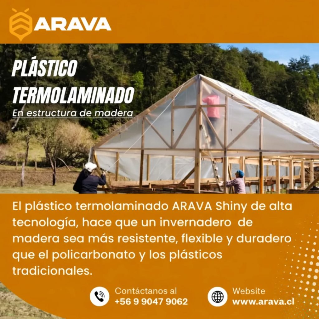 Instagram post from aravachile. This post is in position 0.