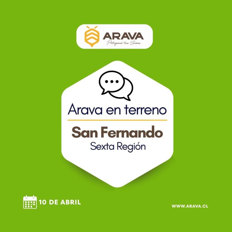 Instagram post from aravachile. This post is in position 1.