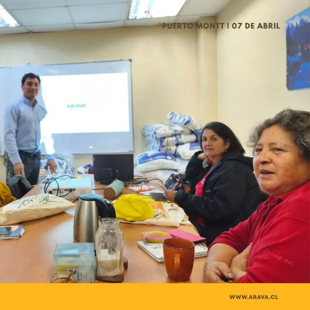 Instagram post from aravachile. This post is in position 2.