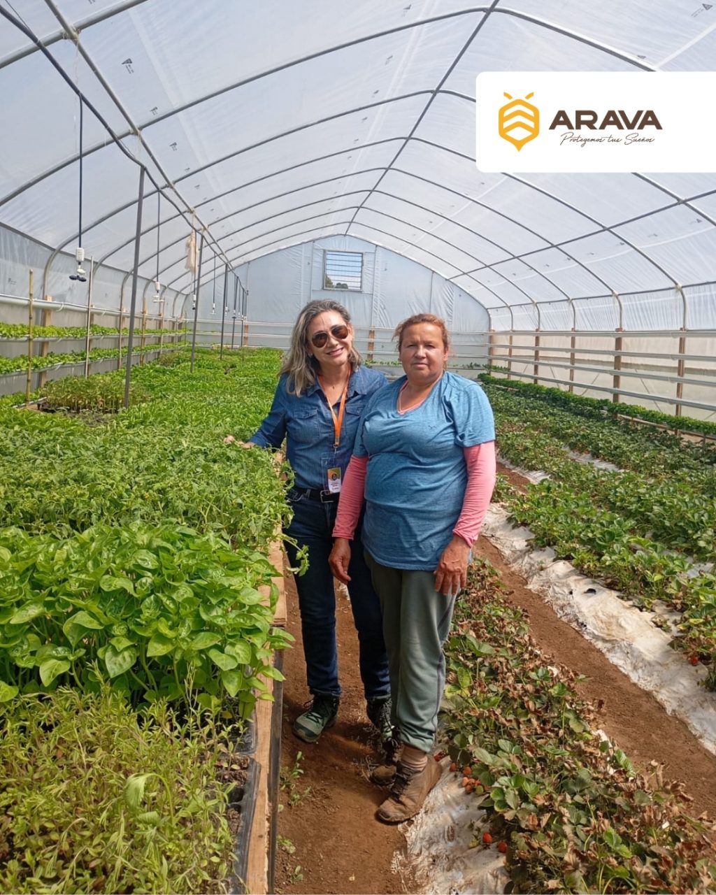 Instagram post from aravachile. This post is in position 1.