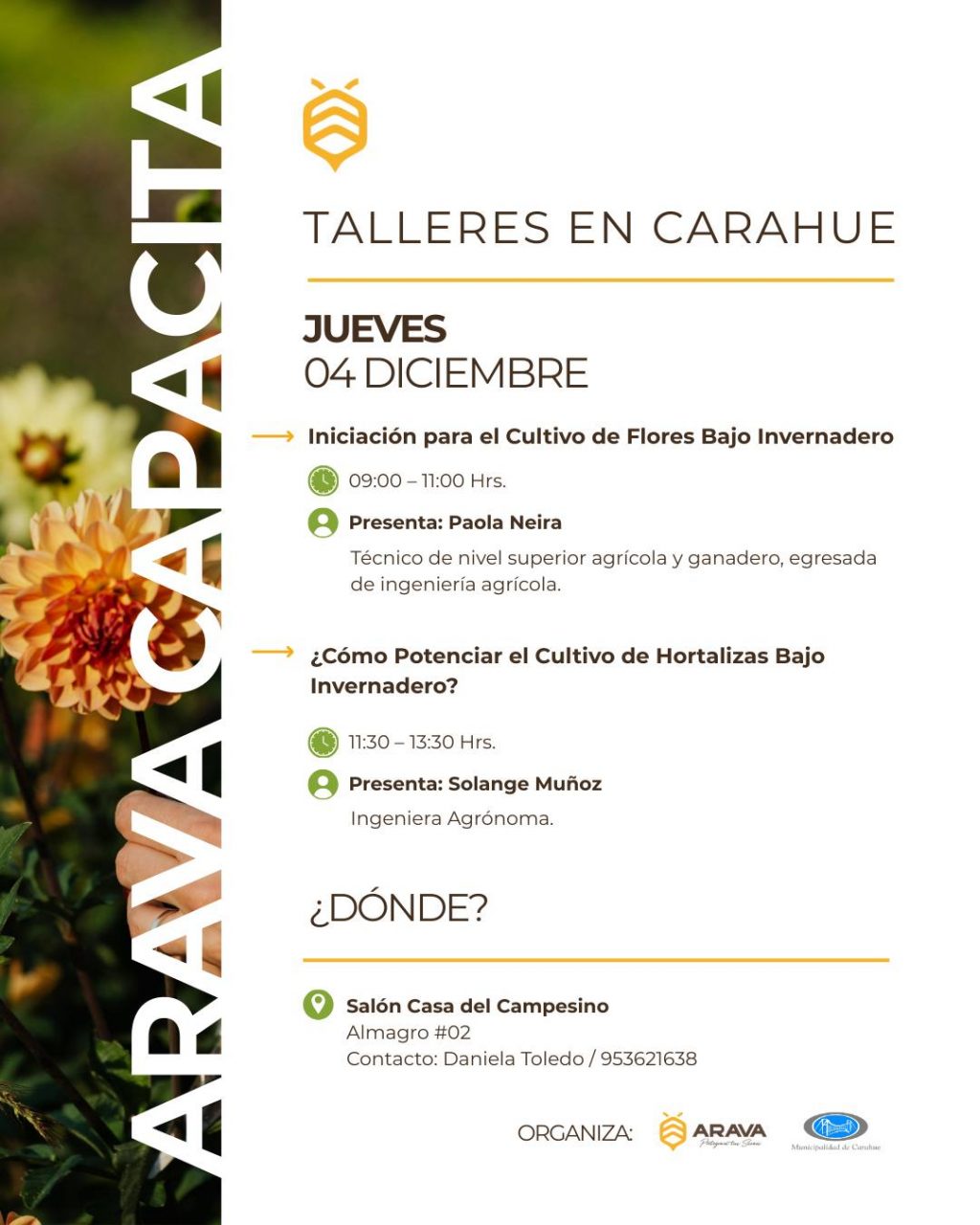 Instagram post from aravachile. This post is in position 2.