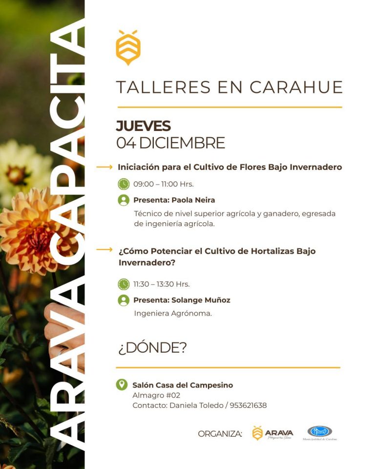 Instagram post from aravachile. This post is in position 3.