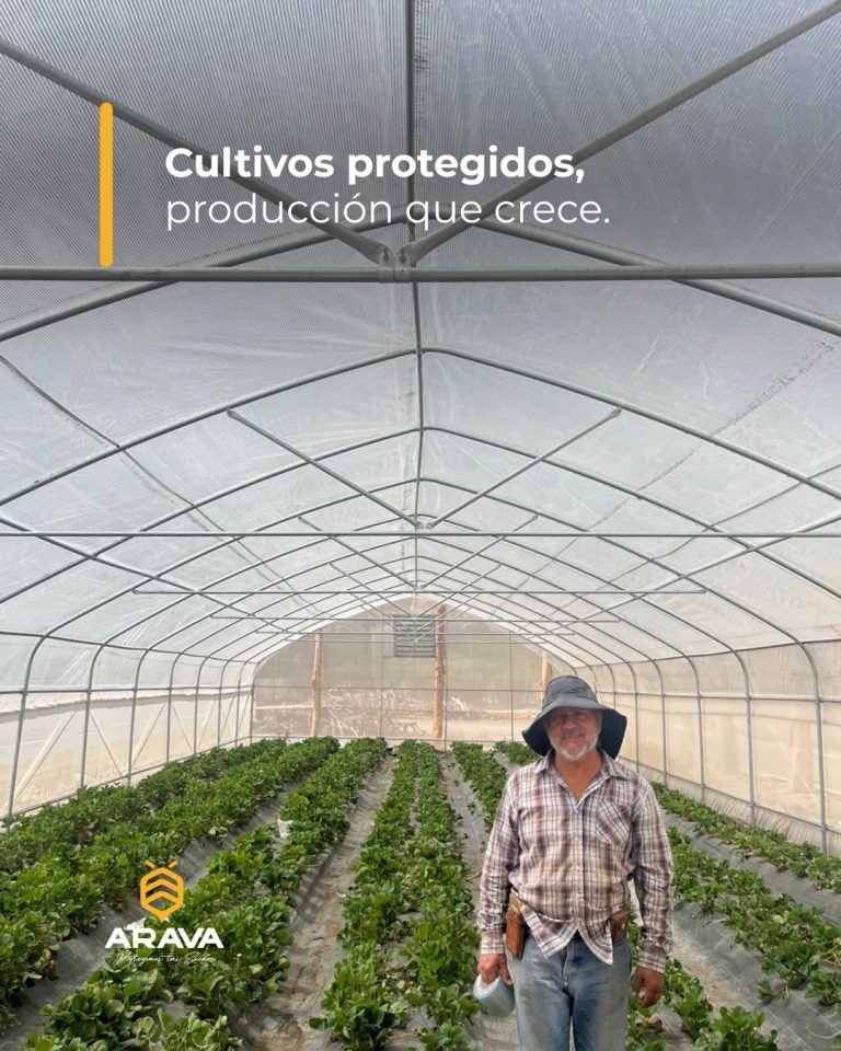 Instagram post from aravachile. This post is in position 4.