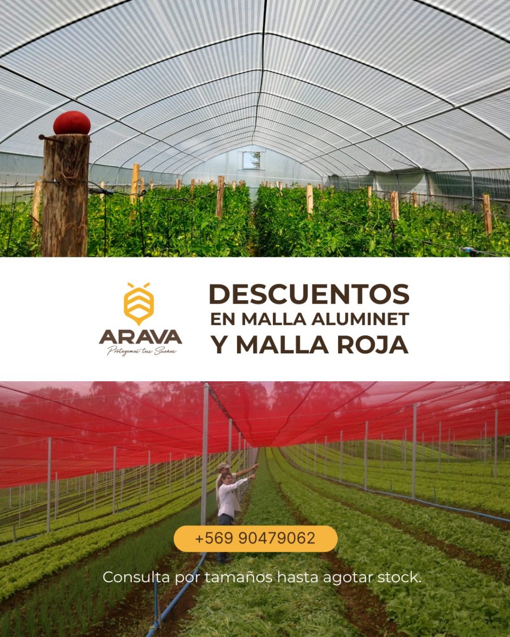 Instagram post from aravachile. This post is in position 0.