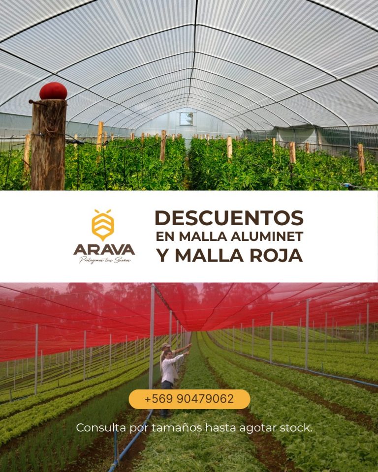 Instagram post from aravachile. This post is in position 1.