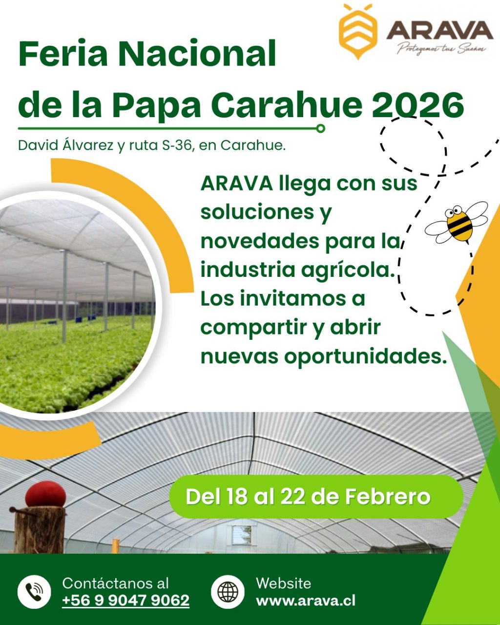 Instagram post from aravachile. This post is in position 1.