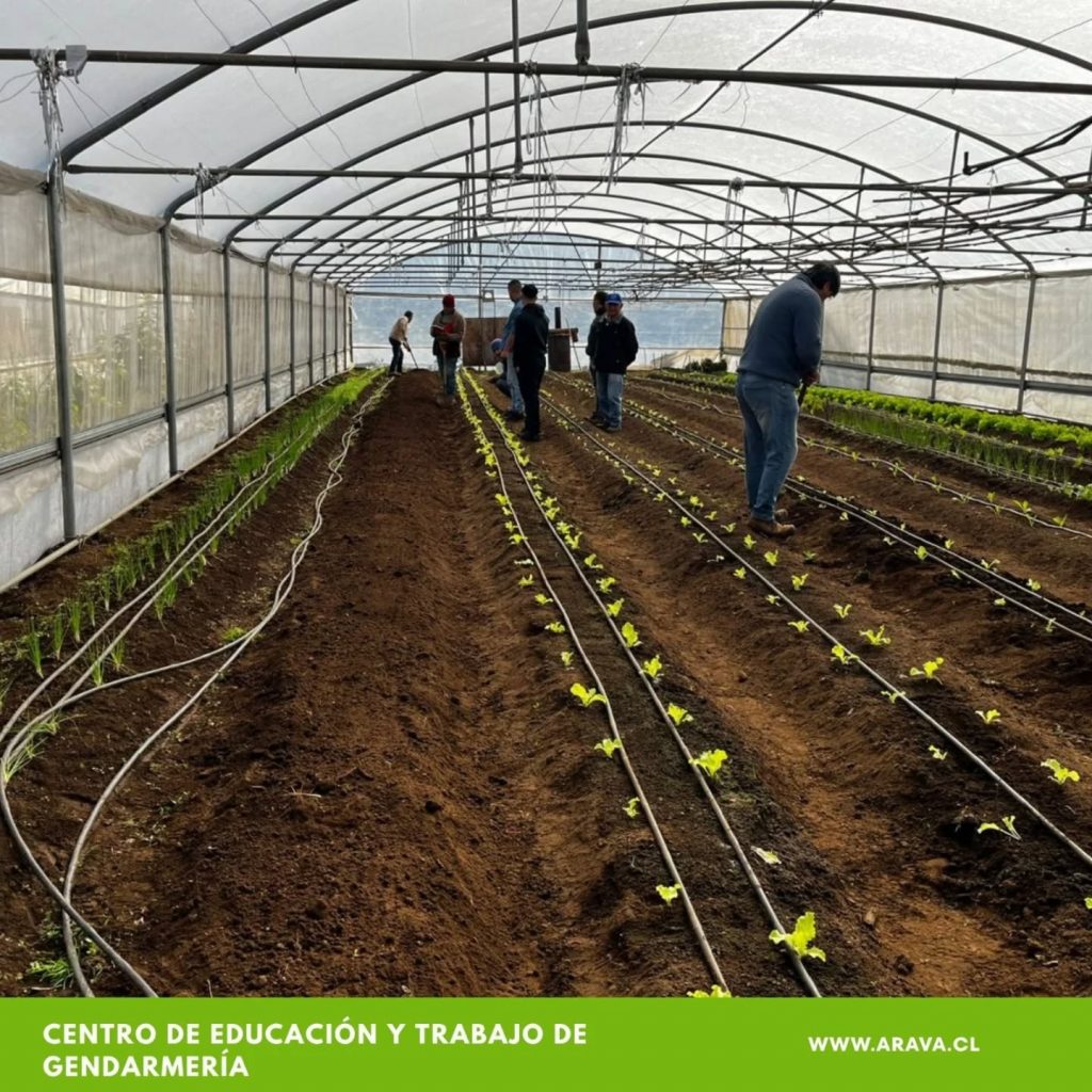 Instagram post from aravachile. This post is in position 3.