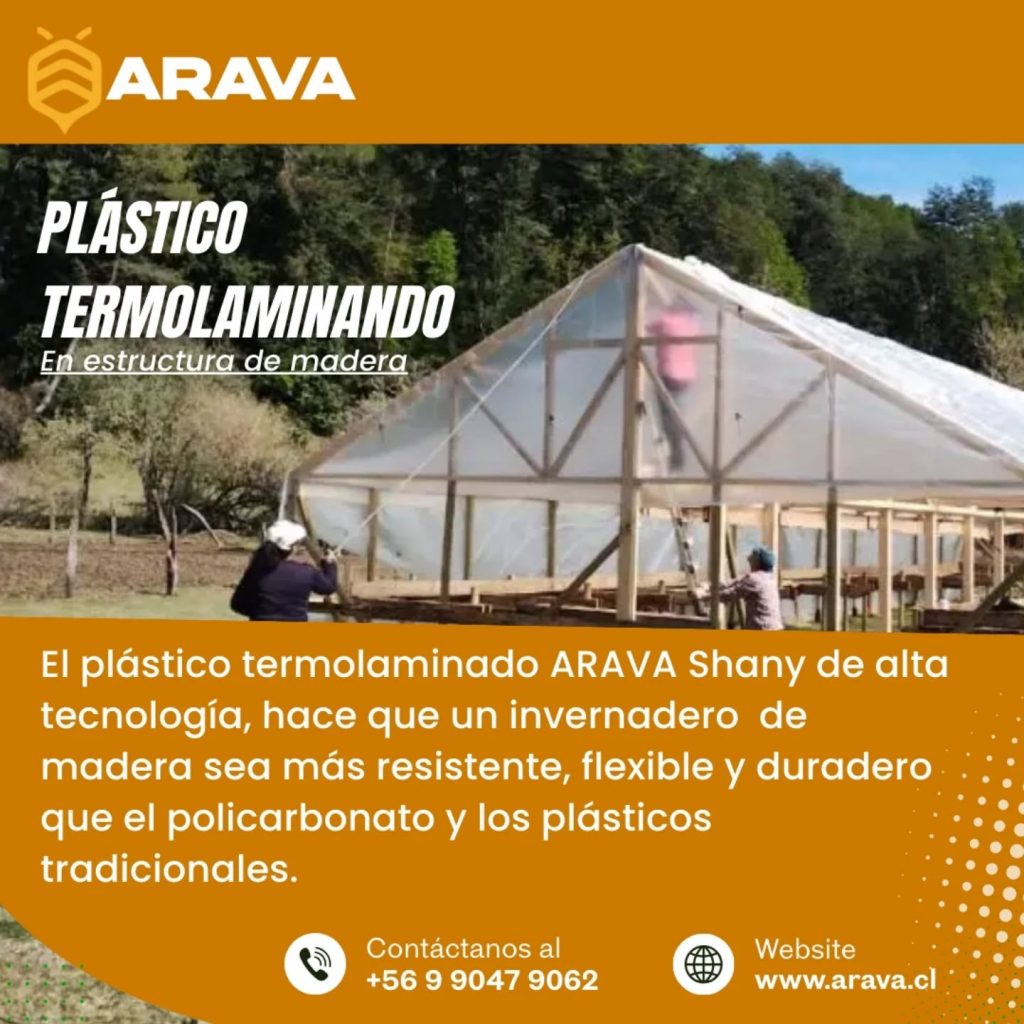 Instagram post from aravachile. This post is in position 0.