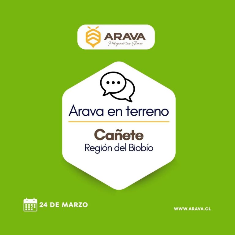 Instagram post from aravachile. This post is in position 1.