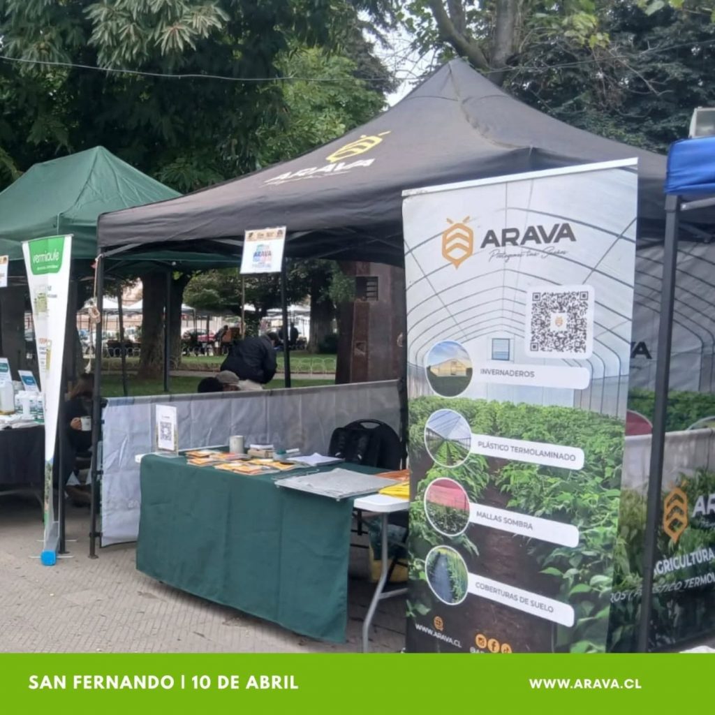 Instagram post from aravachile. This post is in position 1.