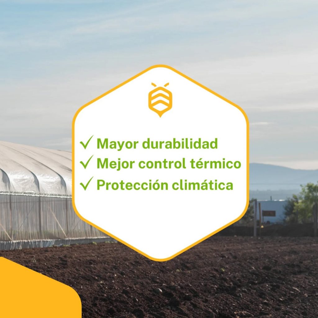 Instagram post from aravachile. This post is in position 2.