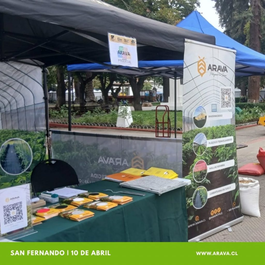 Instagram post from aravachile. This post is in position 3.