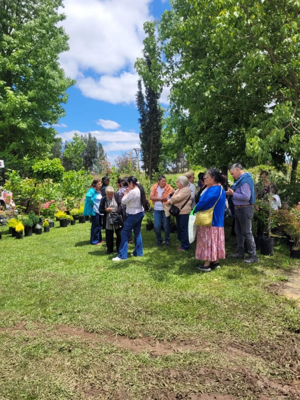 Instagram post from aravachile. This post is in position 4.