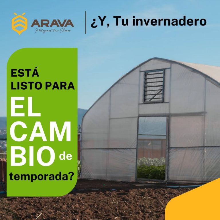 Instagram post from aravachile. This post is in position 1.