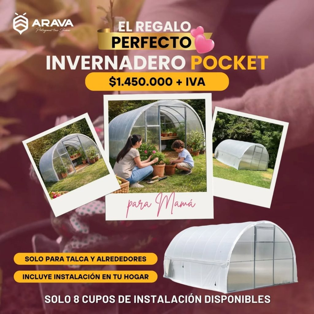 Instagram post from aravachile. This post is in position 0.