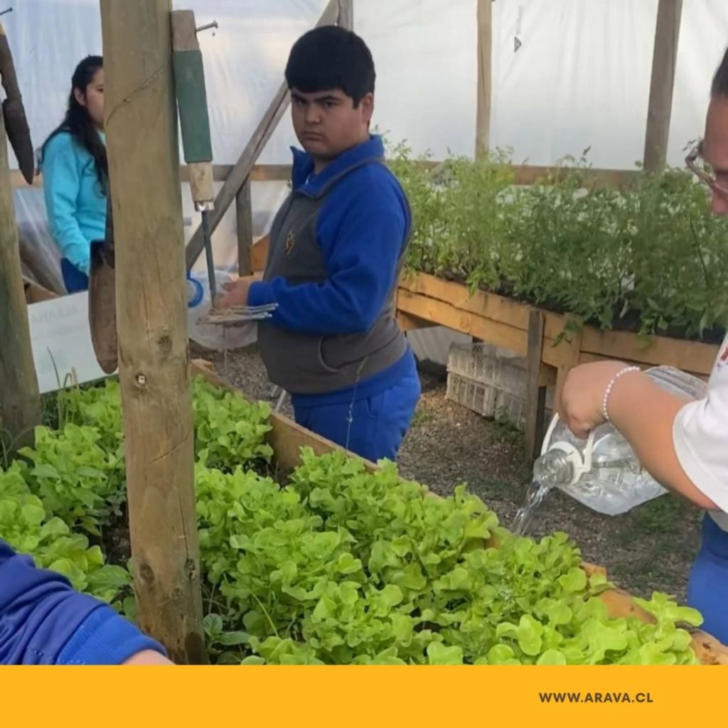 Instagram post from aravachile. This post is in position 1.