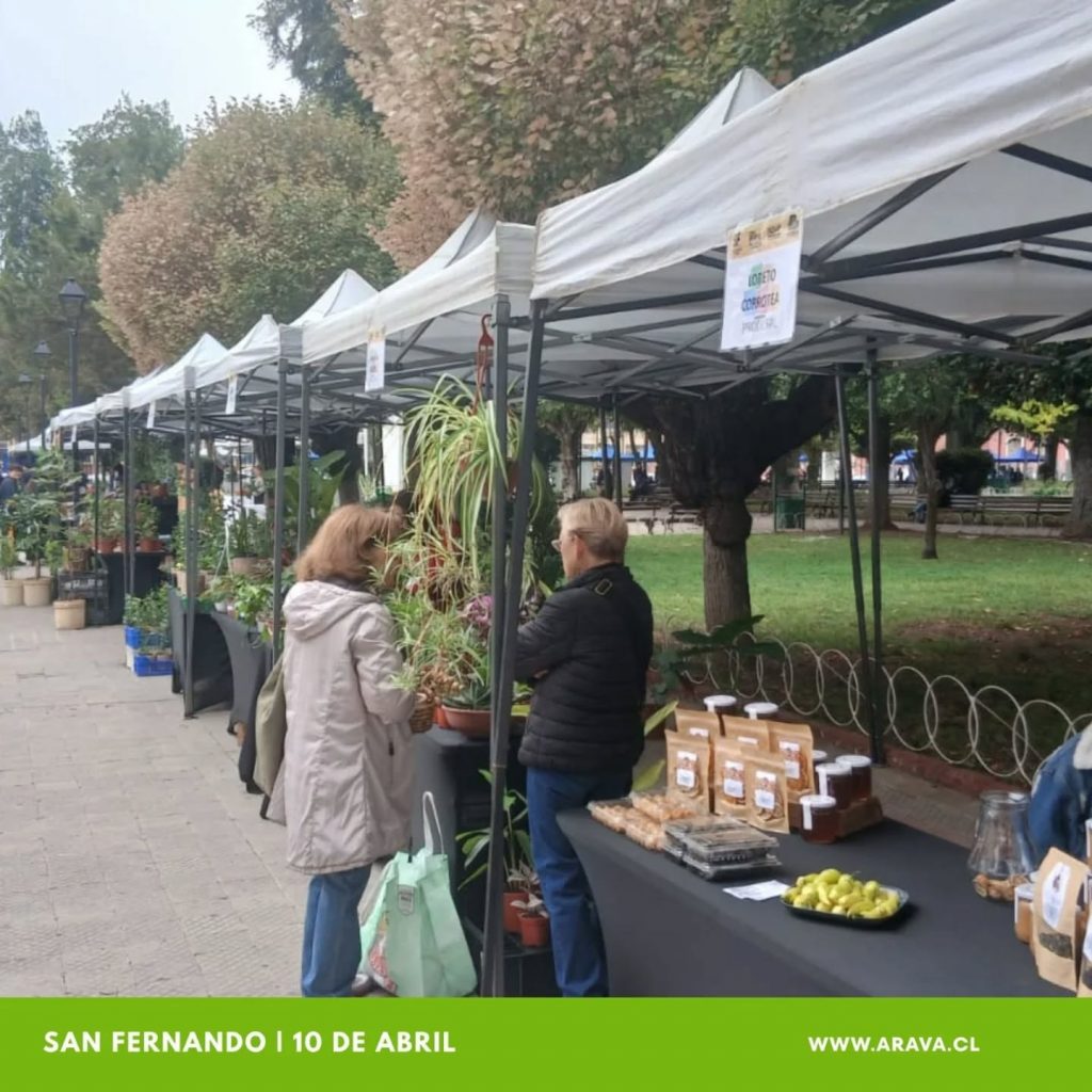 Instagram post from aravachile. This post is in position 4.