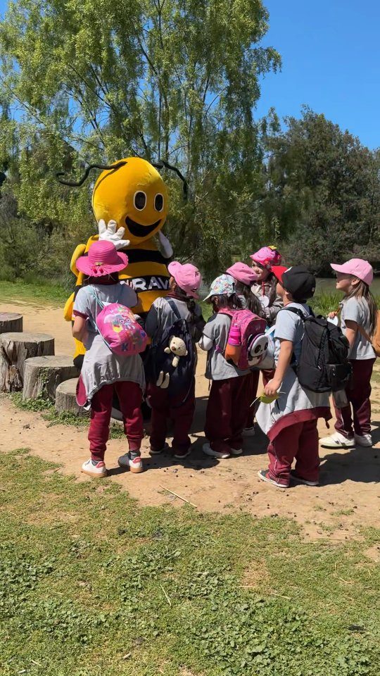 Instagram post from aravachile. This post is in position 5.