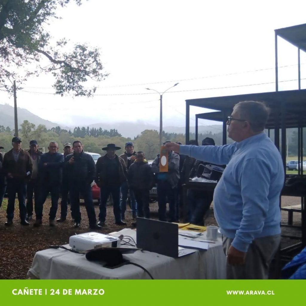 Instagram post from aravachile. This post is in position 2.