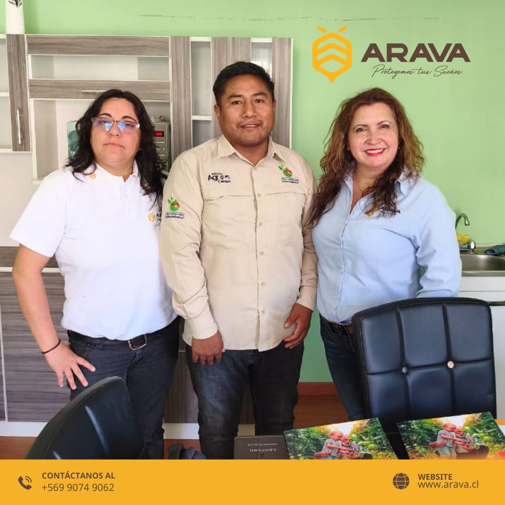 Instagram post from aravachile. This post is in position 0.