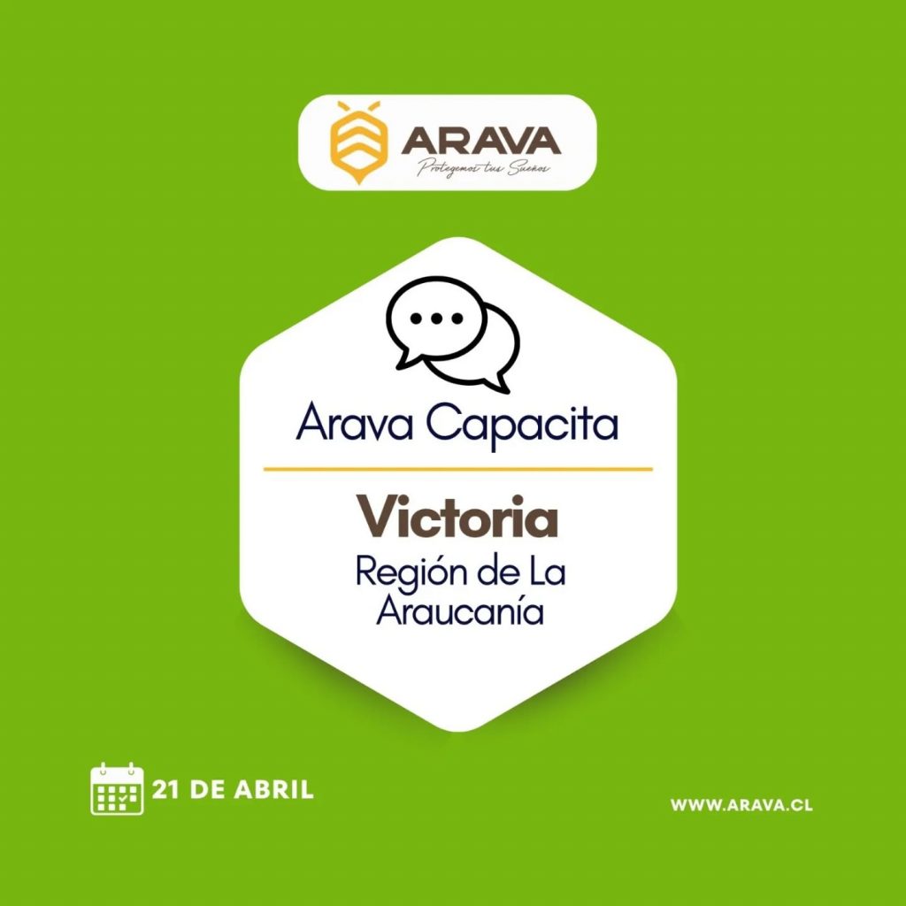 Instagram post from aravachile. This post is in position 0.