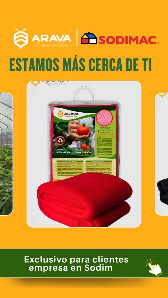 Instagram post from aravachile. This post is in position 1.