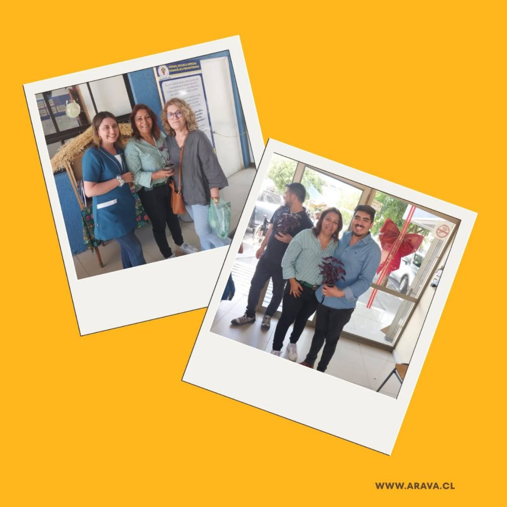 Instagram post from aravachile. This post is in position 4.