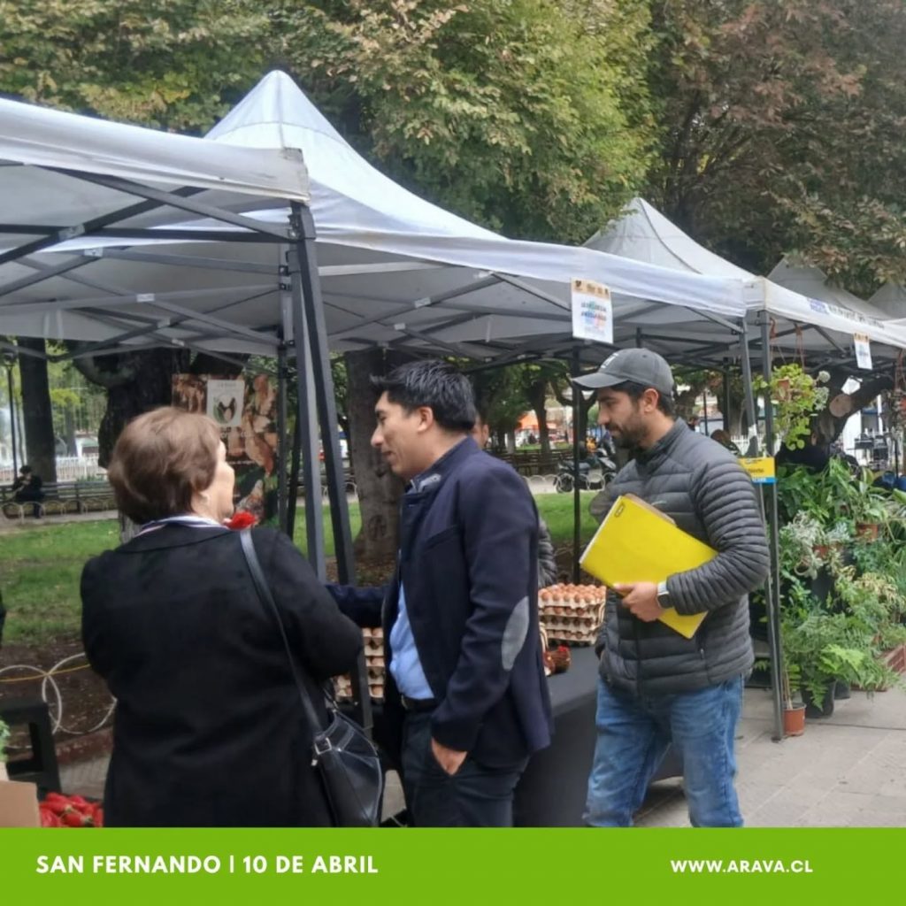 Instagram post from aravachile. This post is in position 5.