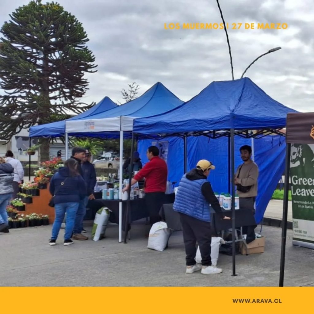 Instagram post from aravachile. This post is in position 3.