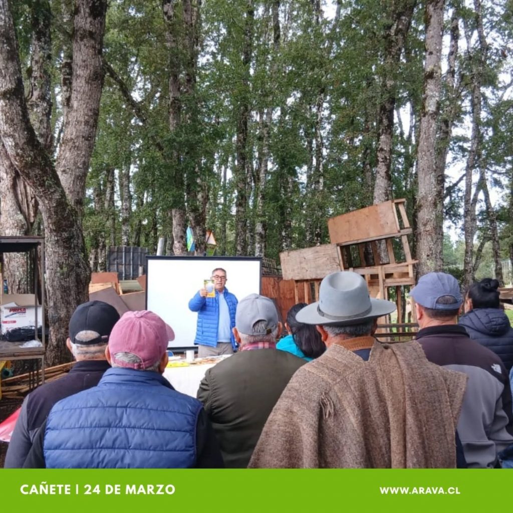 Instagram post from aravachile. This post is in position 4.