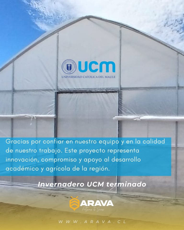 Instagram post from aravachile. This post is in position 1.