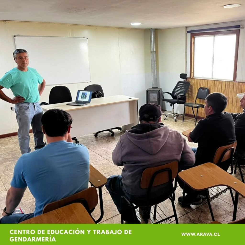 Instagram post from aravachile. This post is in position 1.