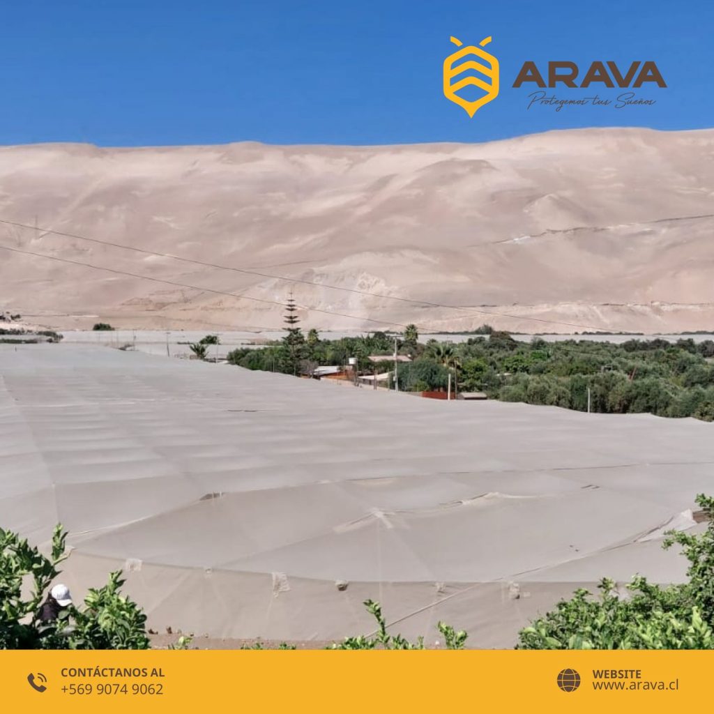 Instagram post from aravachile. This post is in position 1.