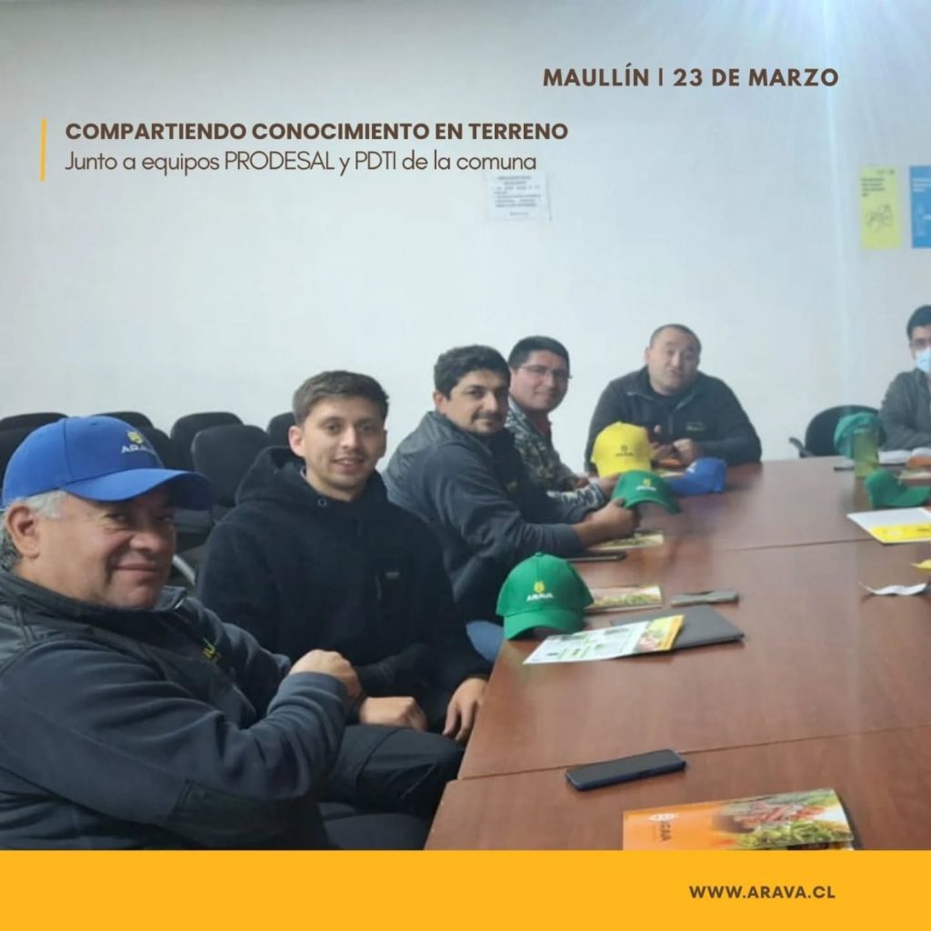 Instagram post from aravachile. This post is in position 1.