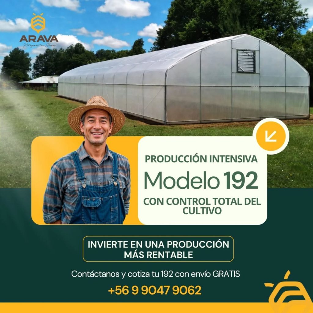 Instagram post from aravachile. This post is in position 0.