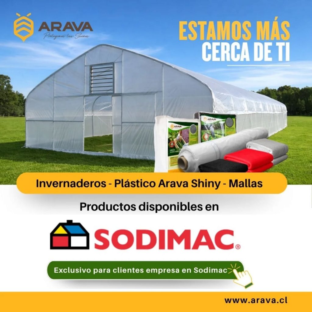 Instagram post from aravachile. This post is in position 1.