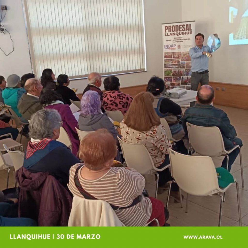 Instagram post from aravachile. This post is in position 4.