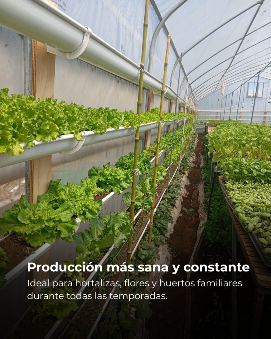 Instagram post from aravachile. This post is in position 2.