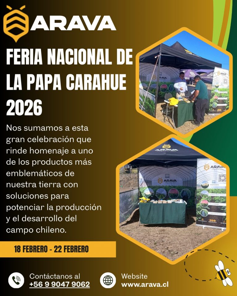 Instagram post from aravachile. This post is in position 1.