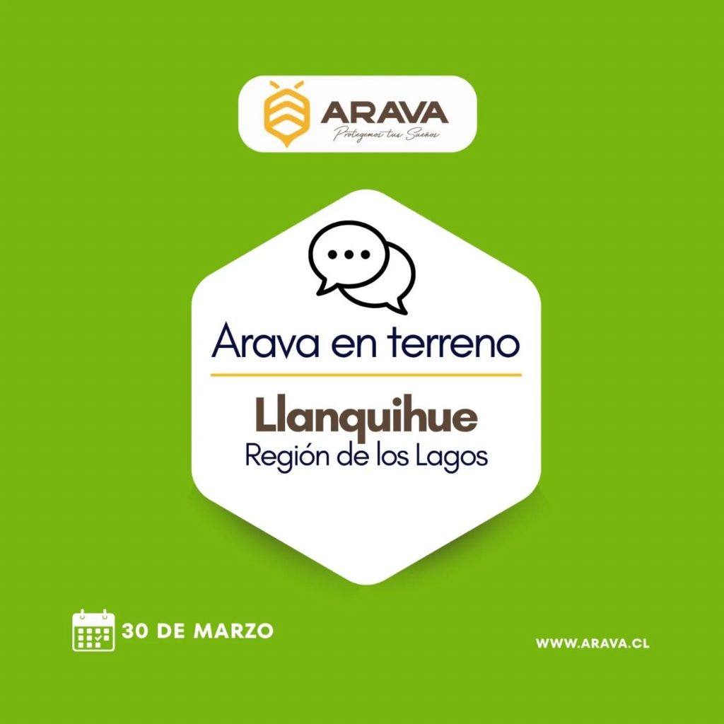 Instagram post from aravachile. This post is in position 0.