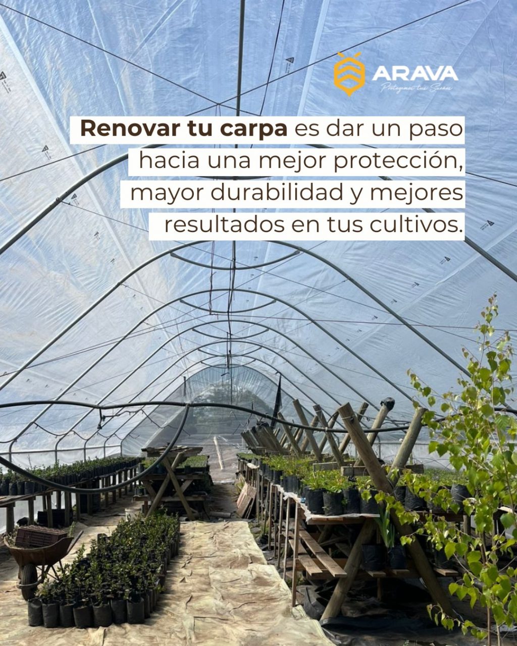 Instagram post from aravachile. This post is in position 2.