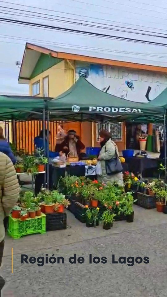 Instagram post from aravachile. This post is in position 1.